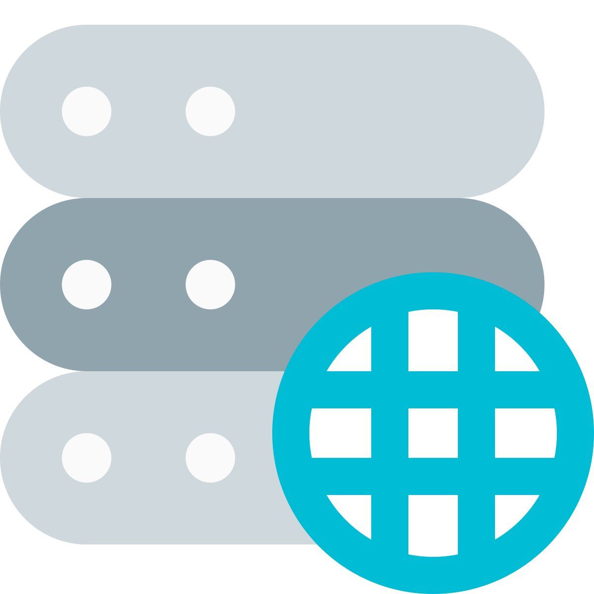 web server icon