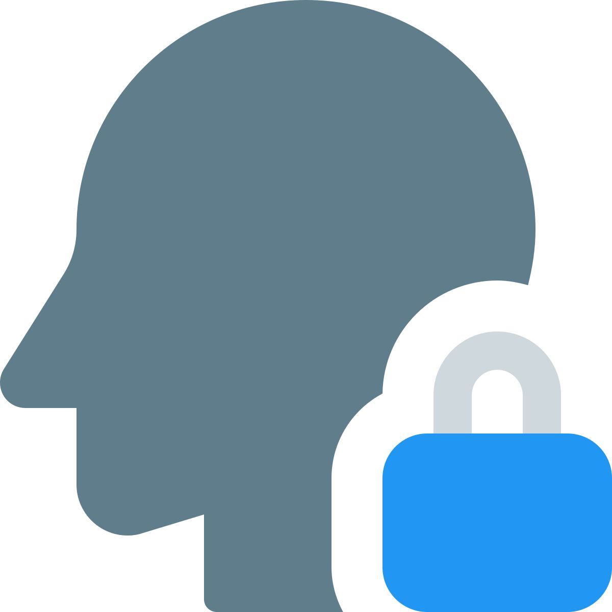admin lock icon