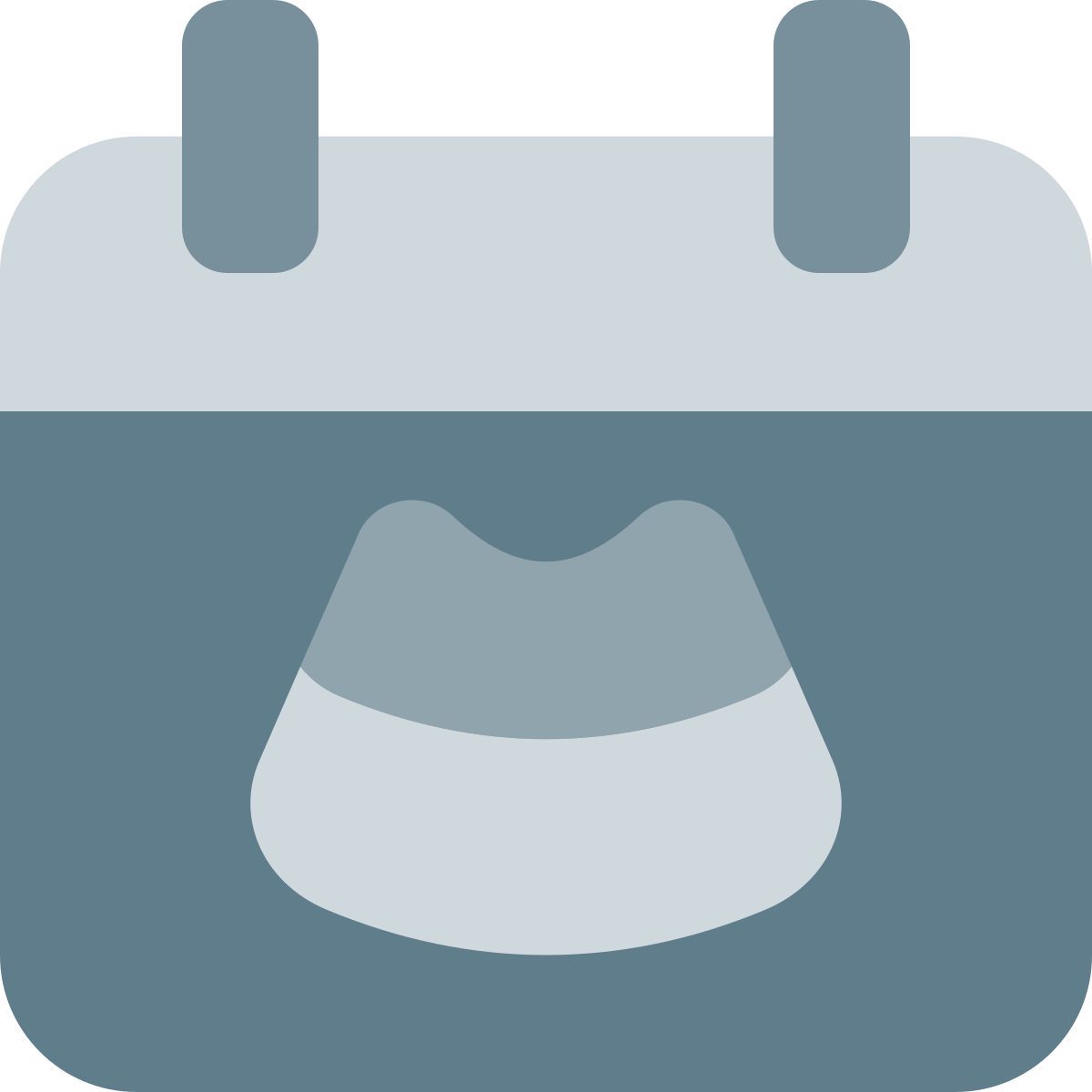 appuntamento per l'ecografia icon