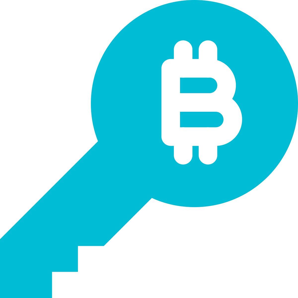 bitcoin key icon