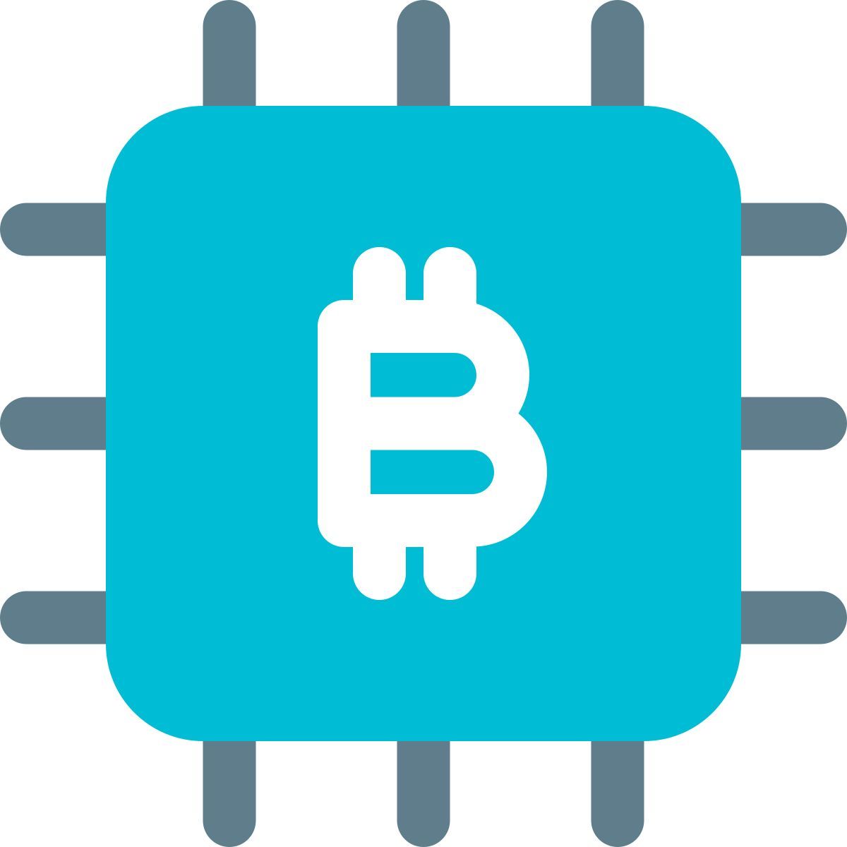 bitcoin chip icon