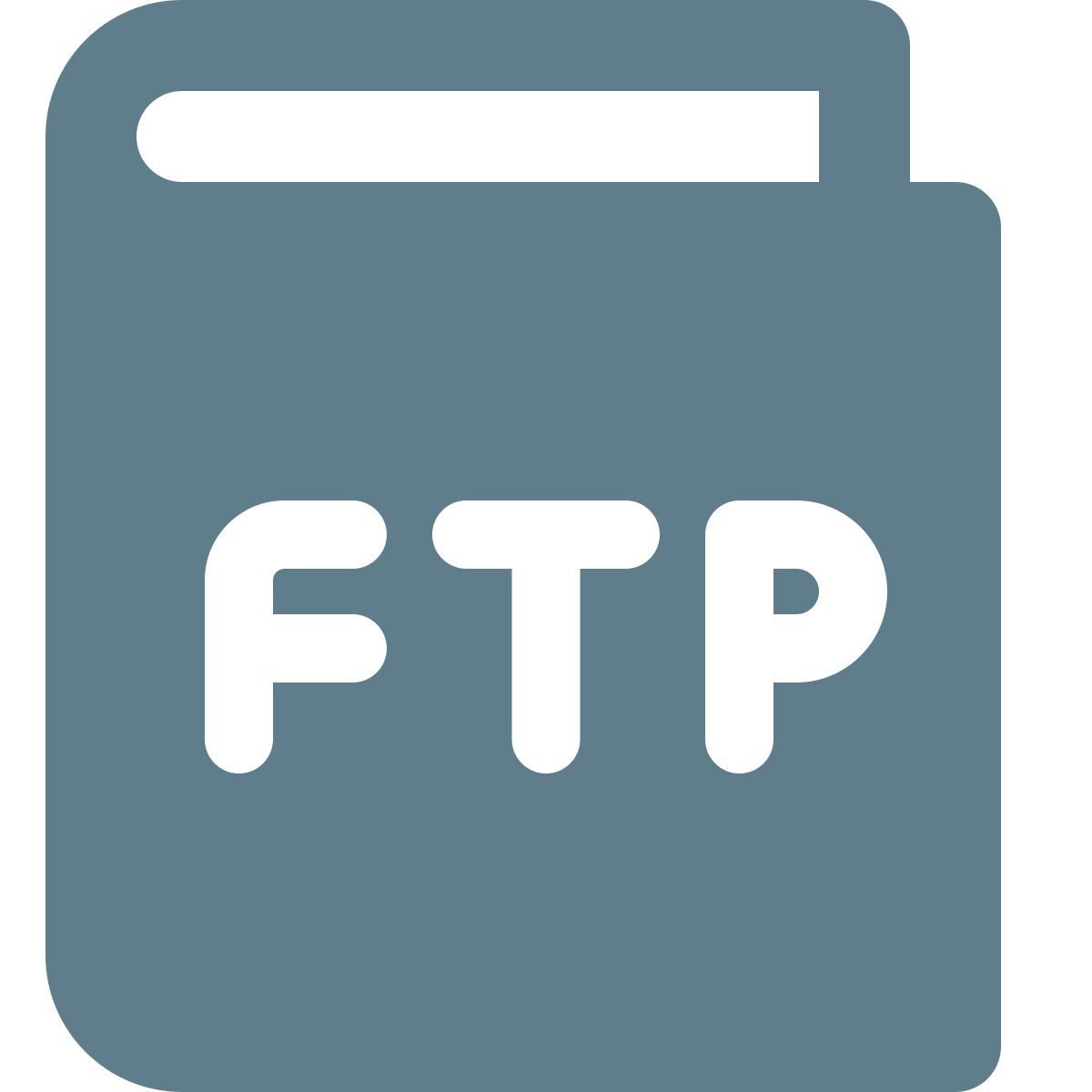 ftp handbuch icon