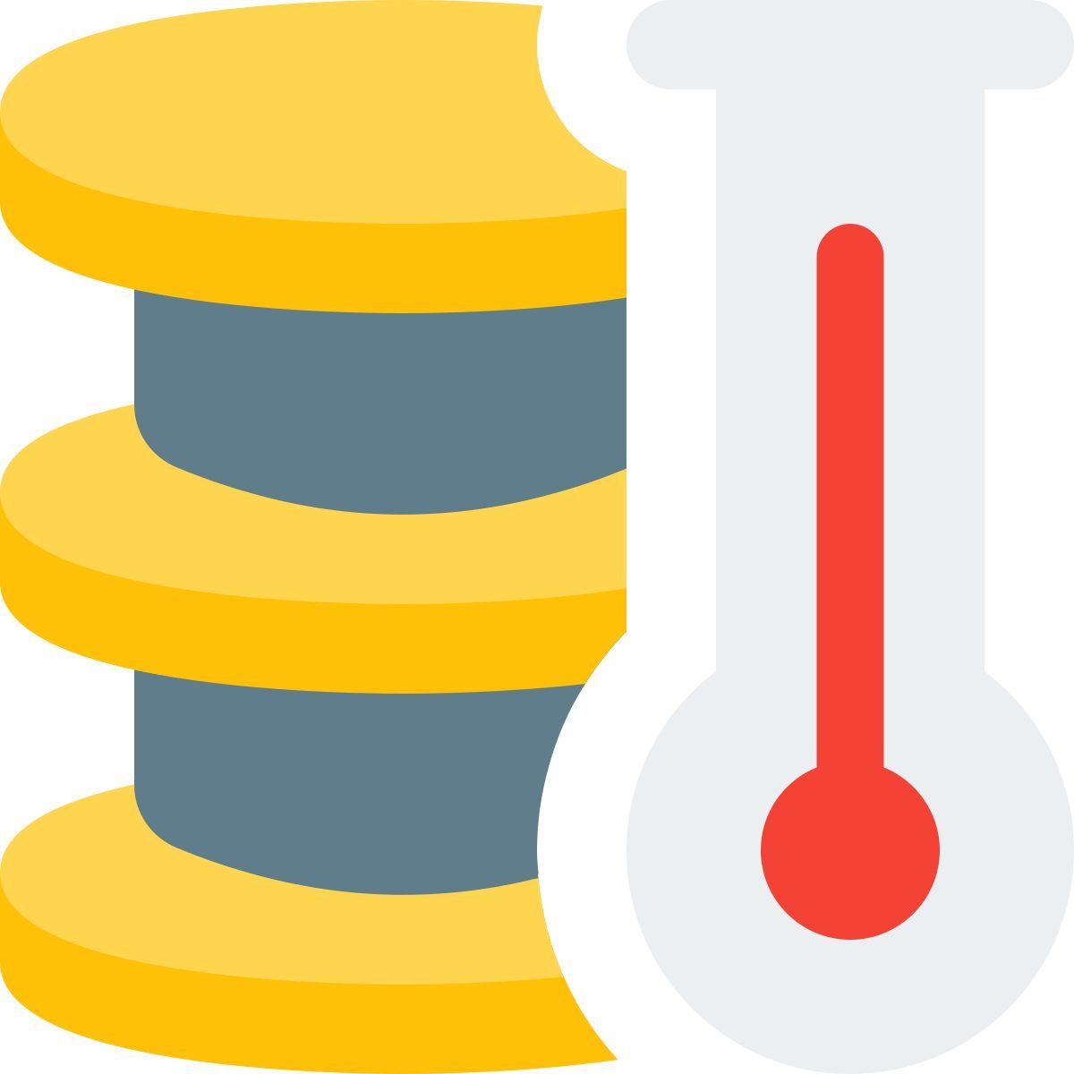 température du serveur icon