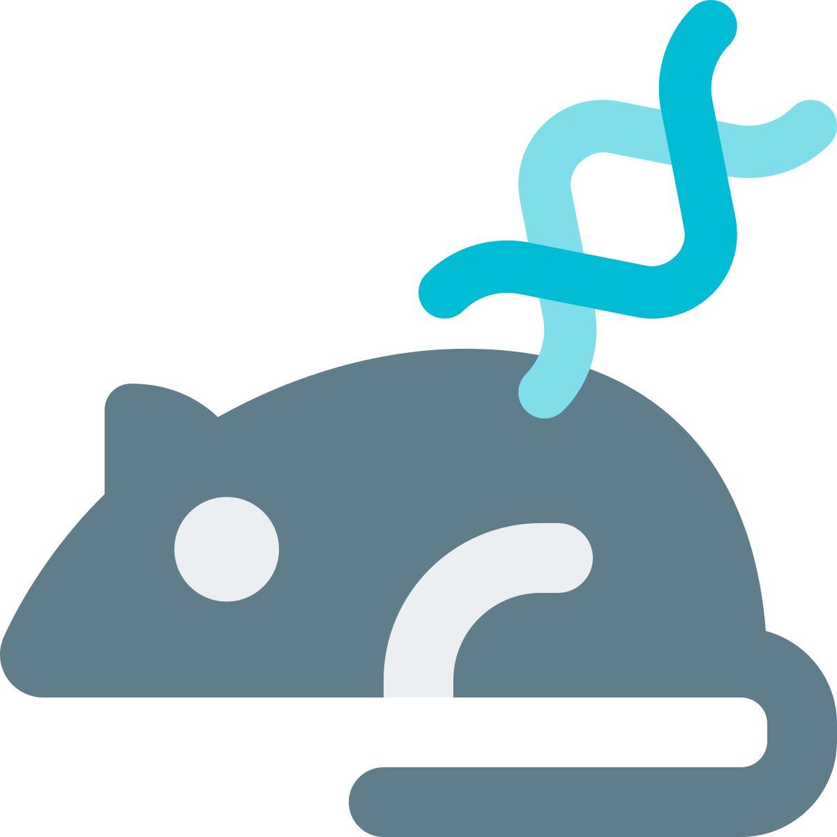 mouse dna icon