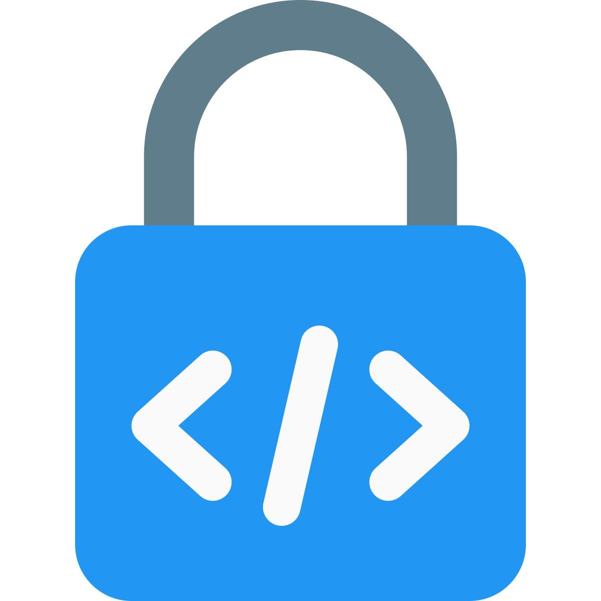 programación segura icon