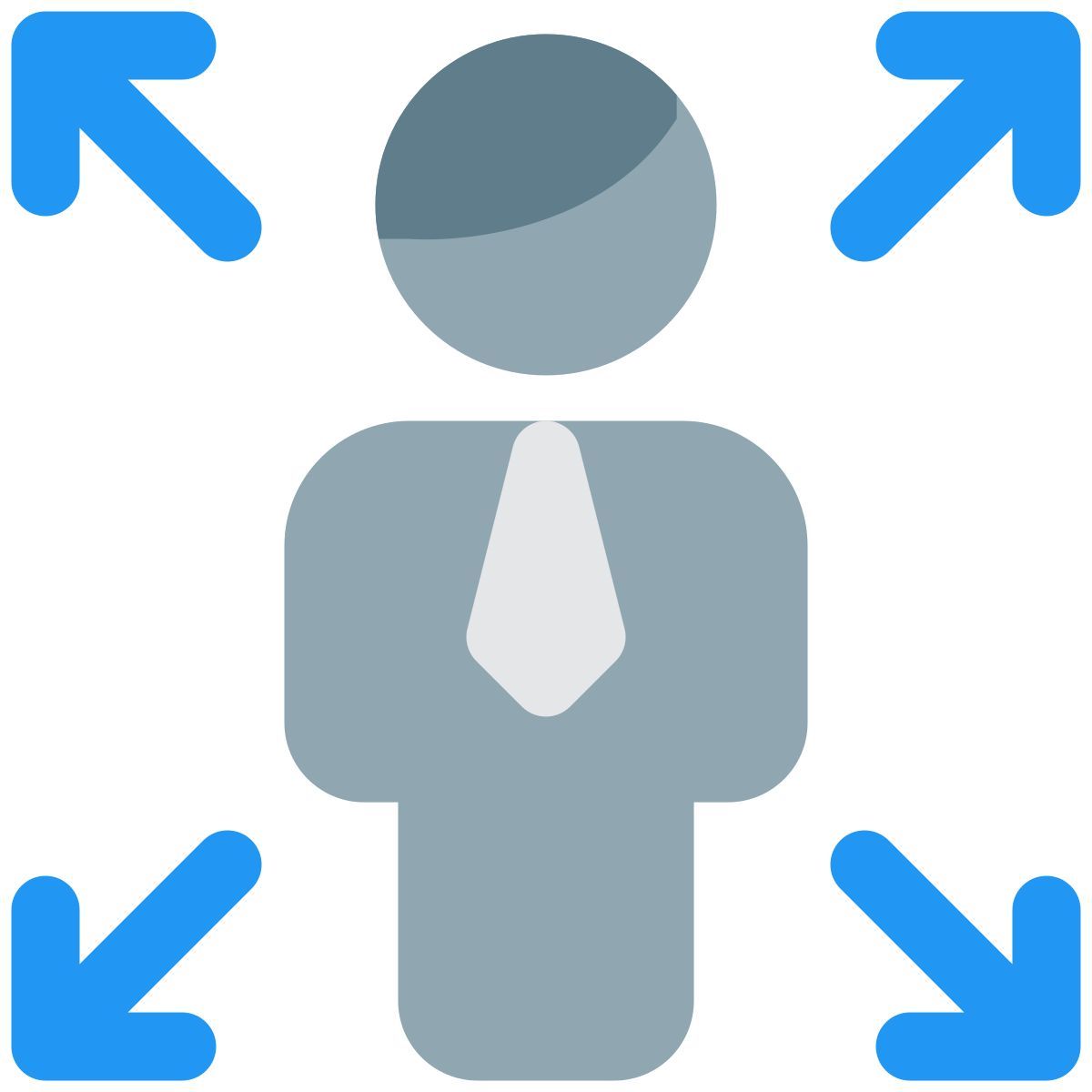 enlarge function of user handling computer layout icon