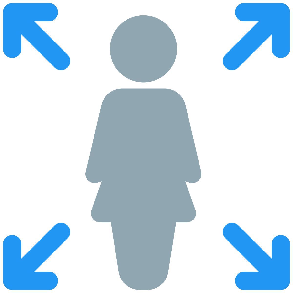 scelta icon