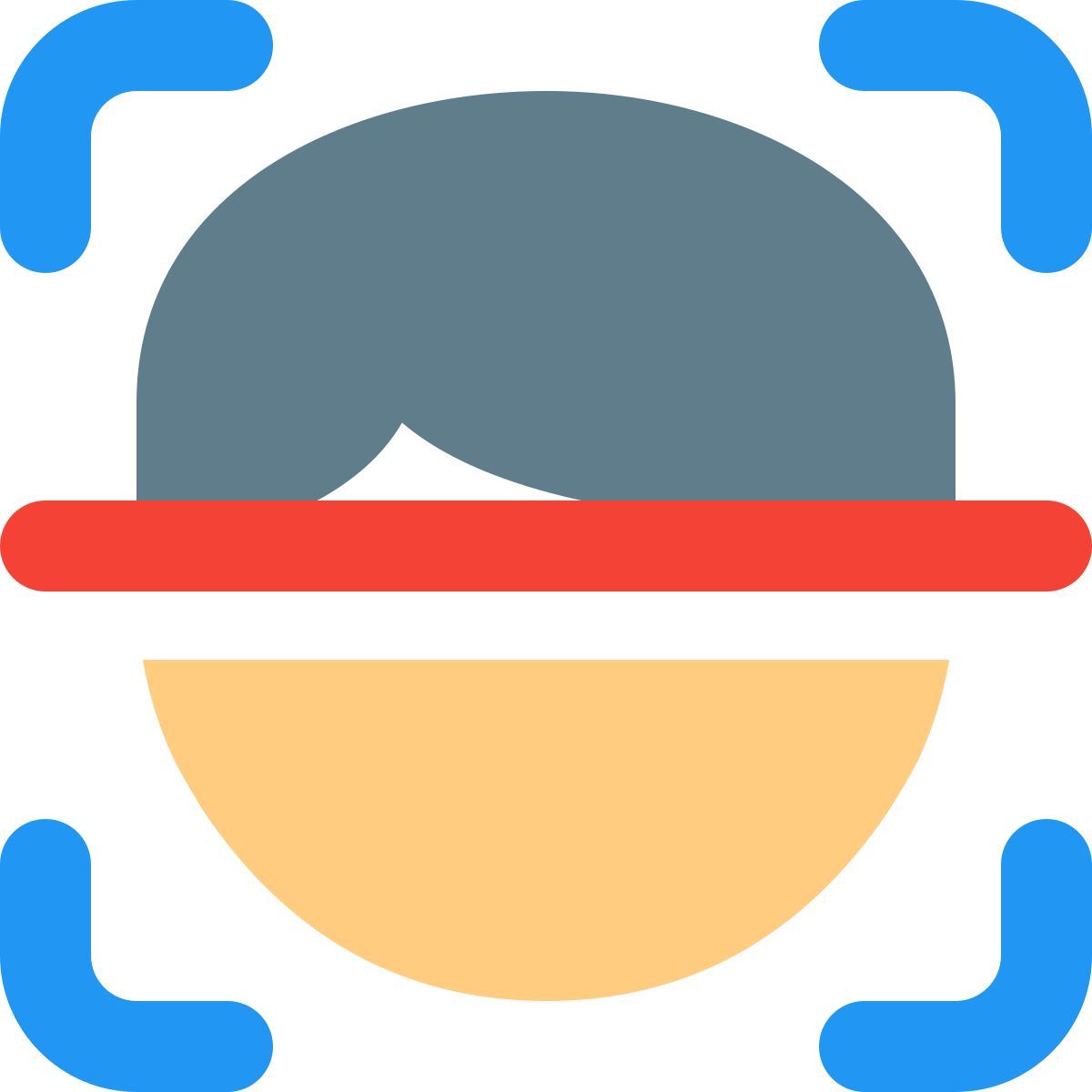 face scanning icon