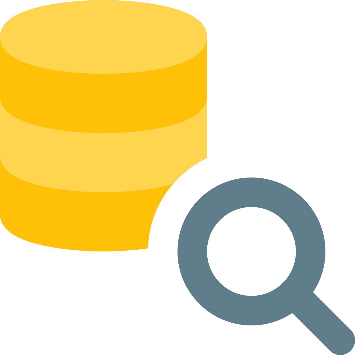 database search icon