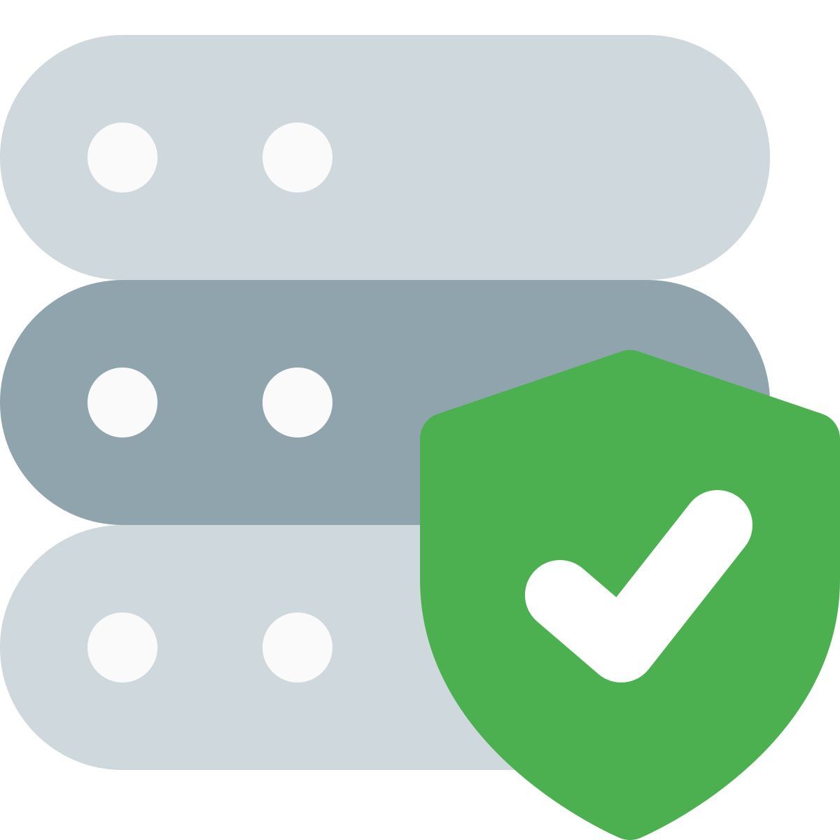 protected server icon