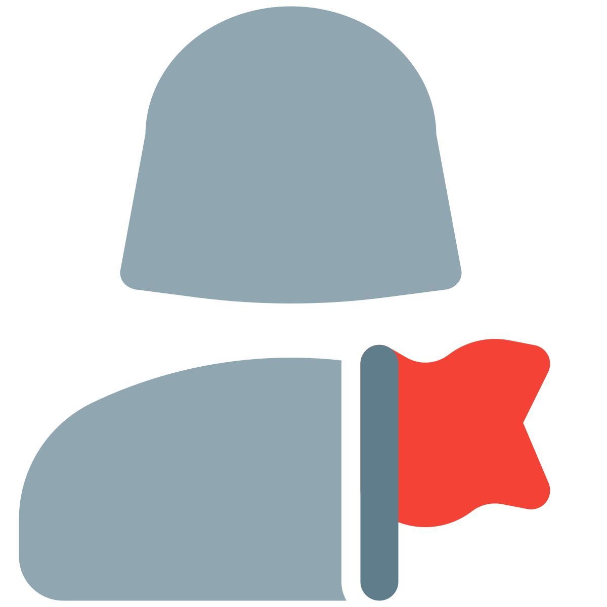 drapeau de l'utilisateur icon