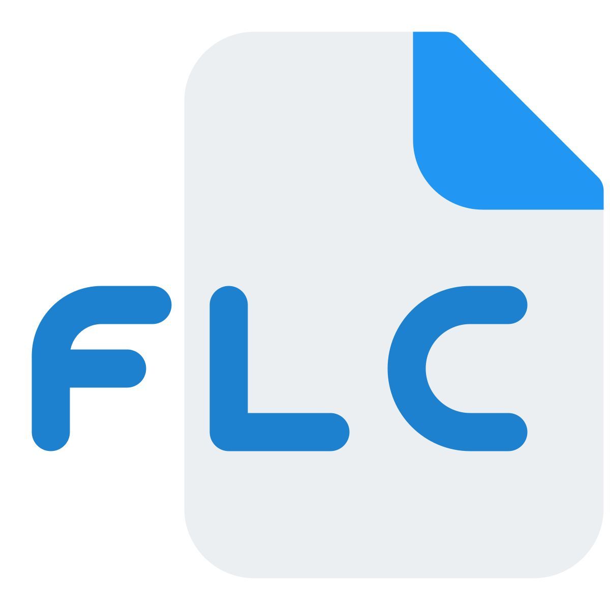 flc 파일 icon