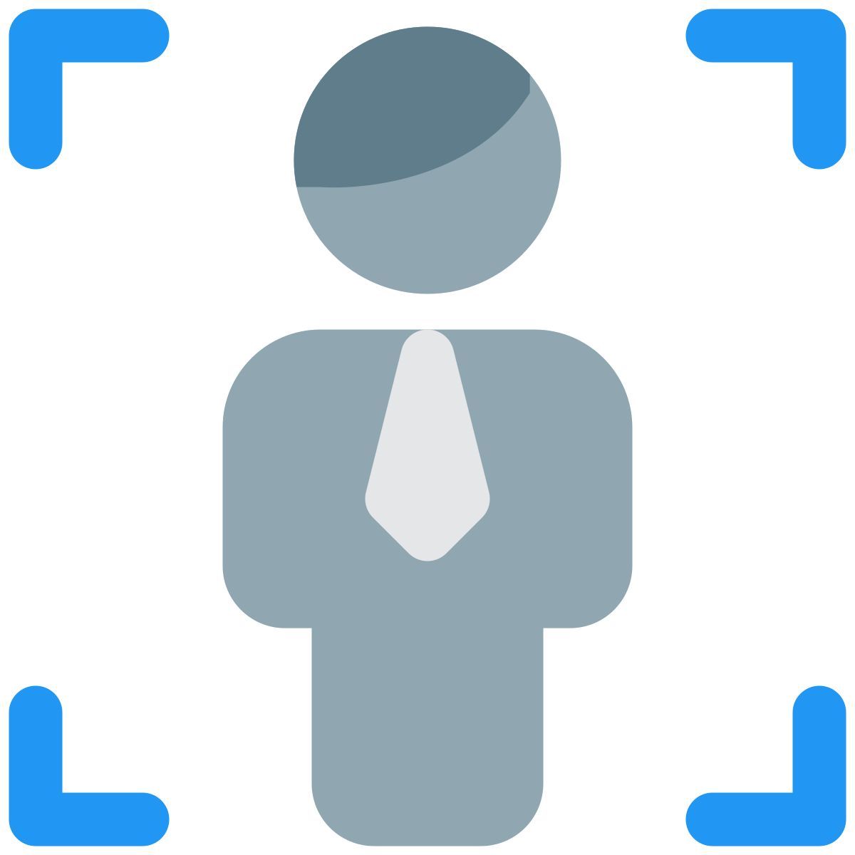 focus function of business handling large enterprises icon