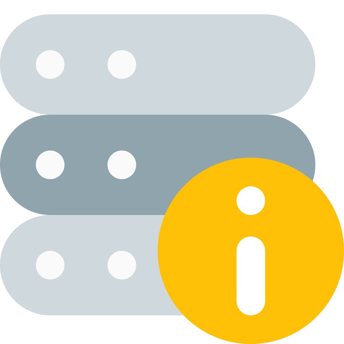 server info icon