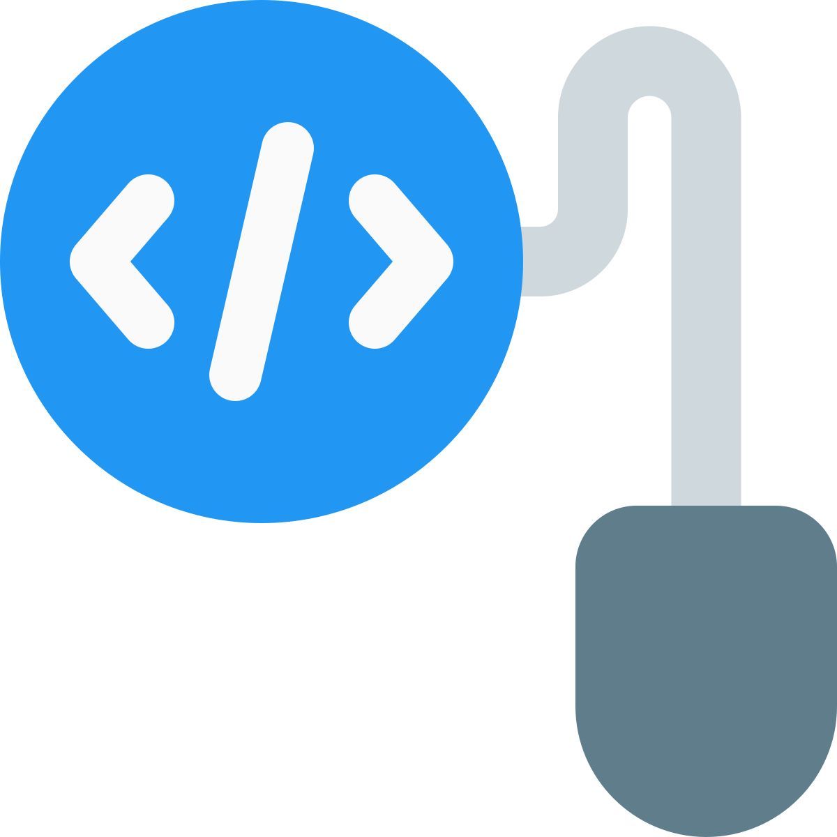 entrée de codage icon