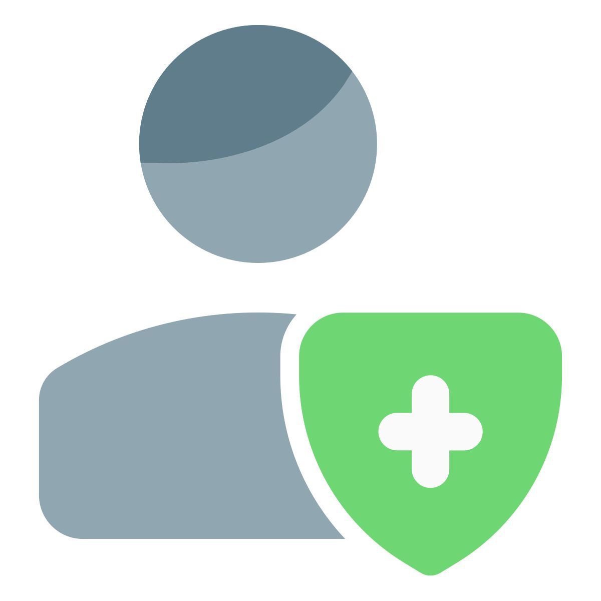 personal insurance icon