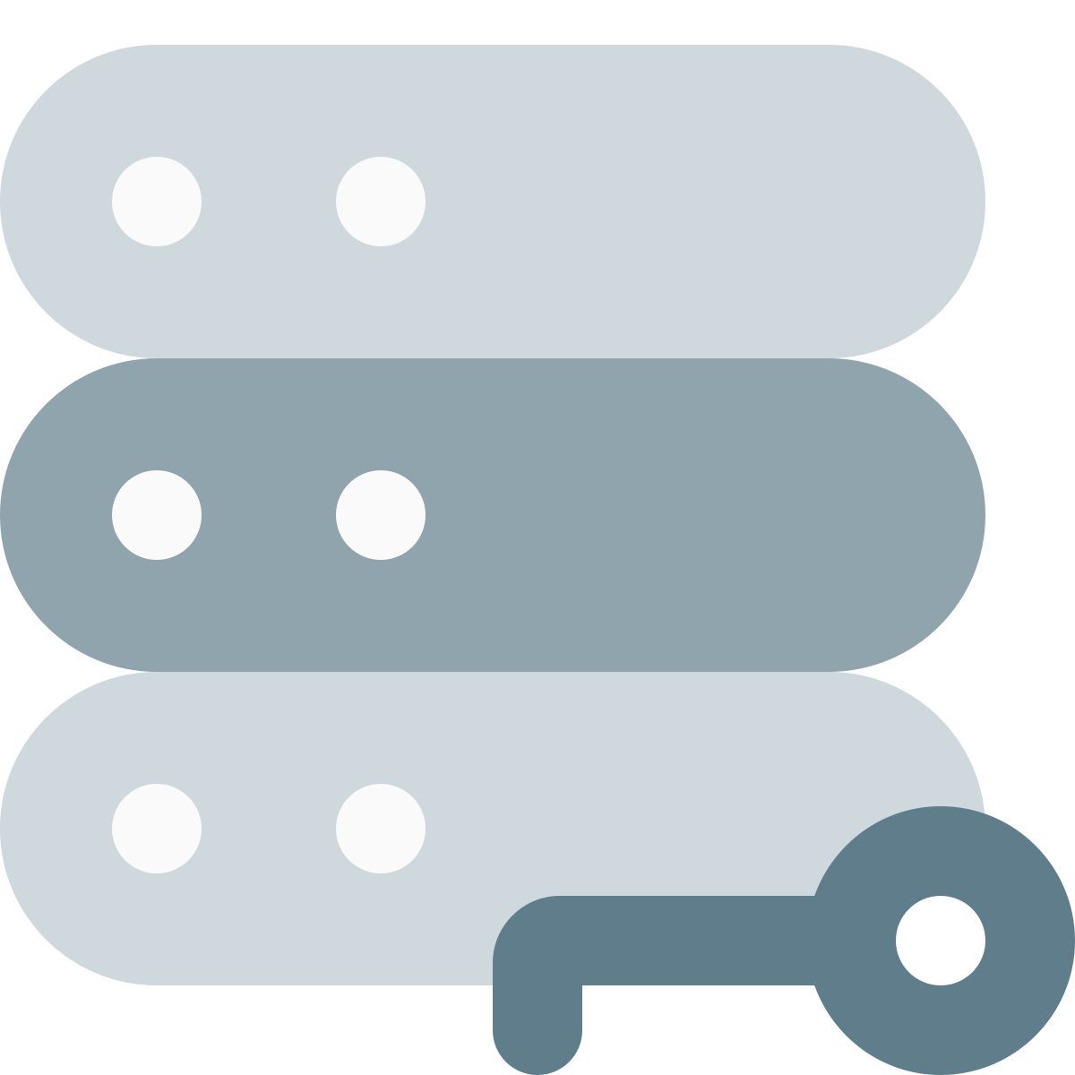 server key icon