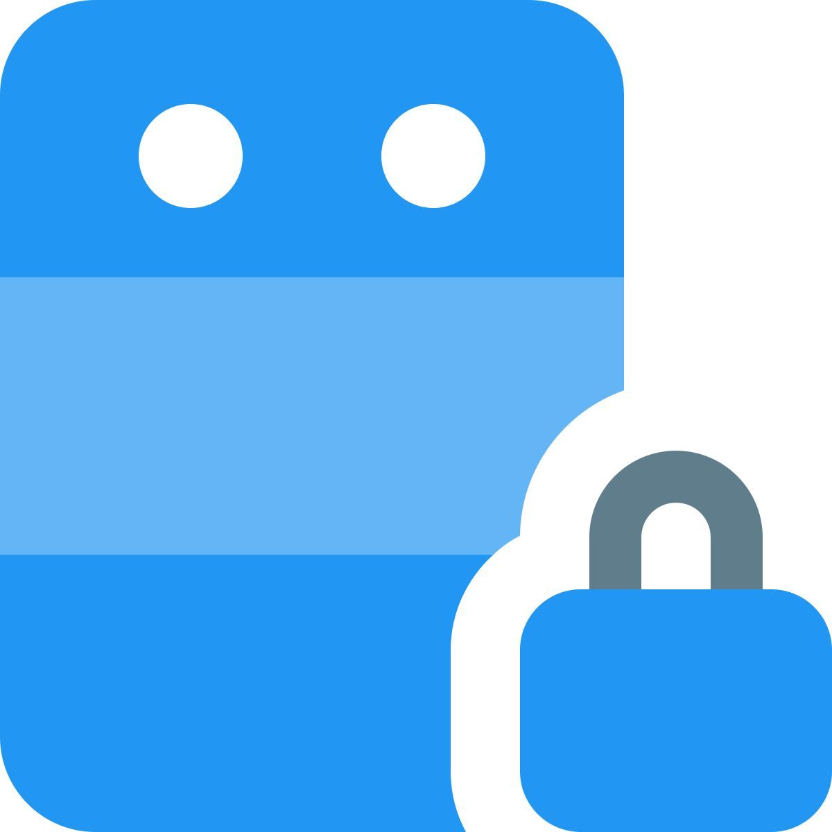 serveur sécurisé icon