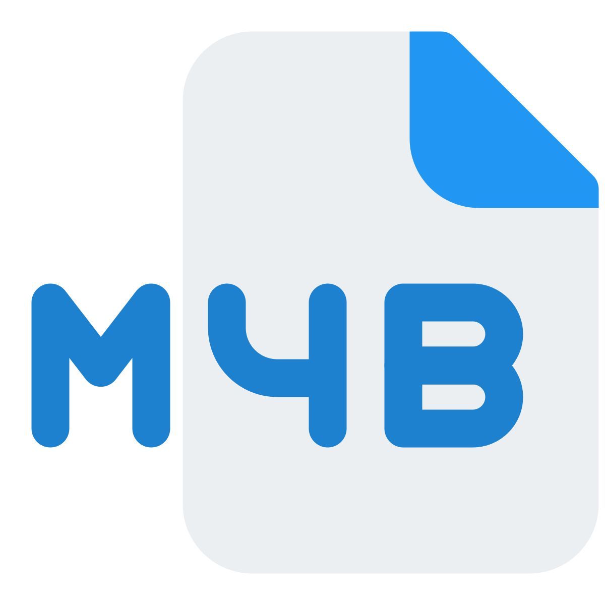 fichier m4b icon