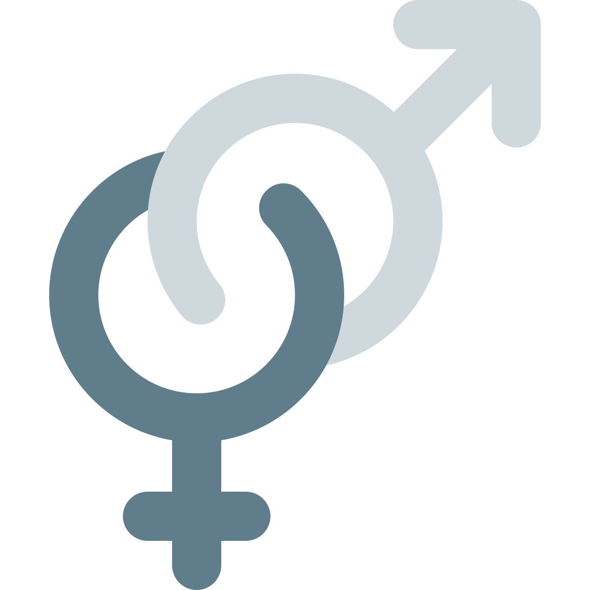 male and female icon