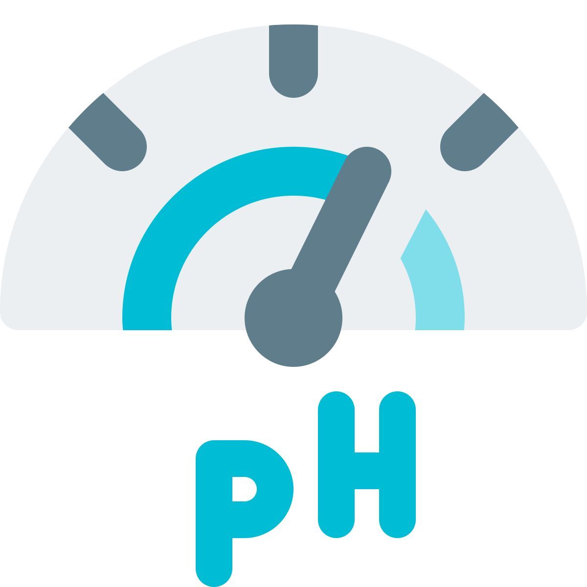 ph parameters icon