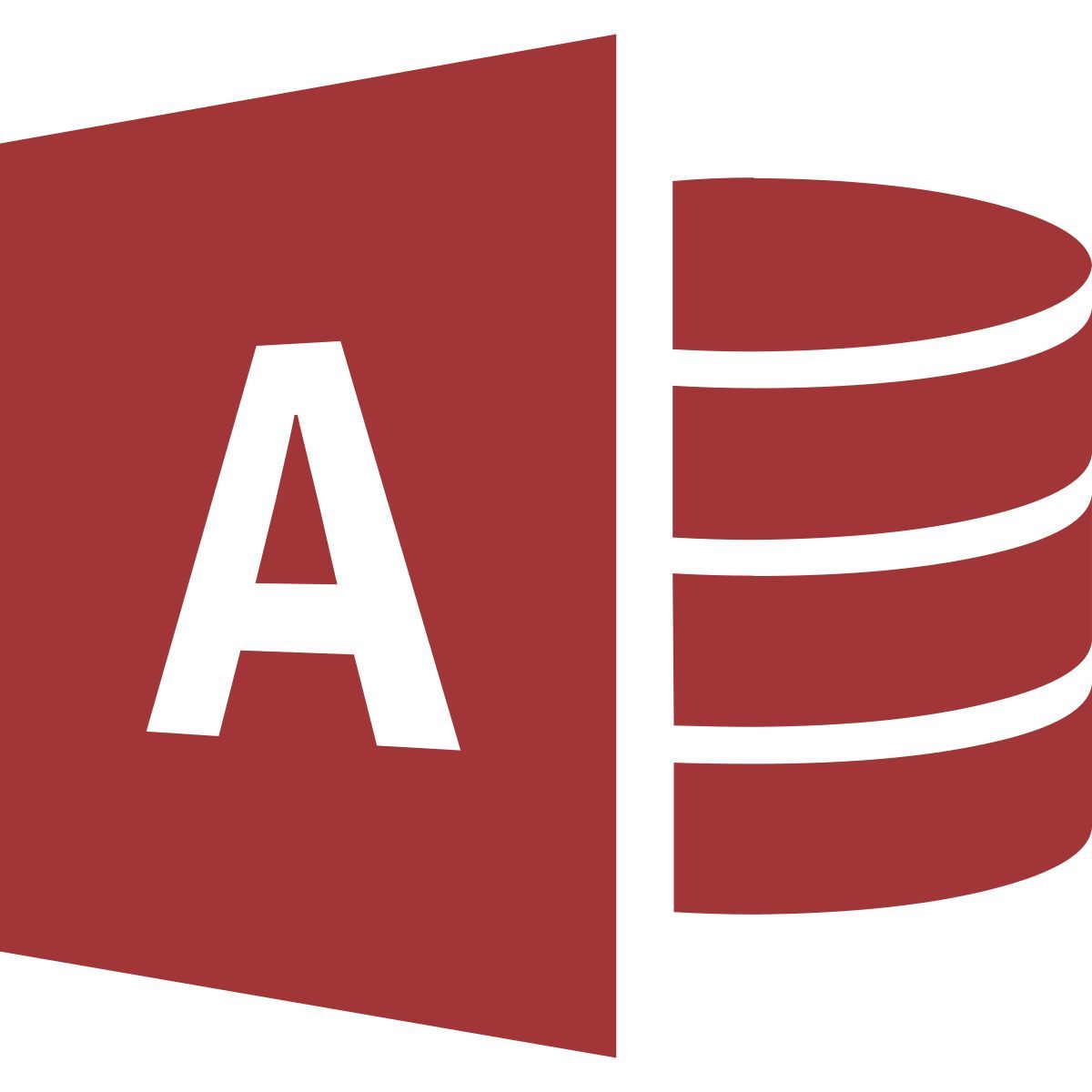 microsoft access icon