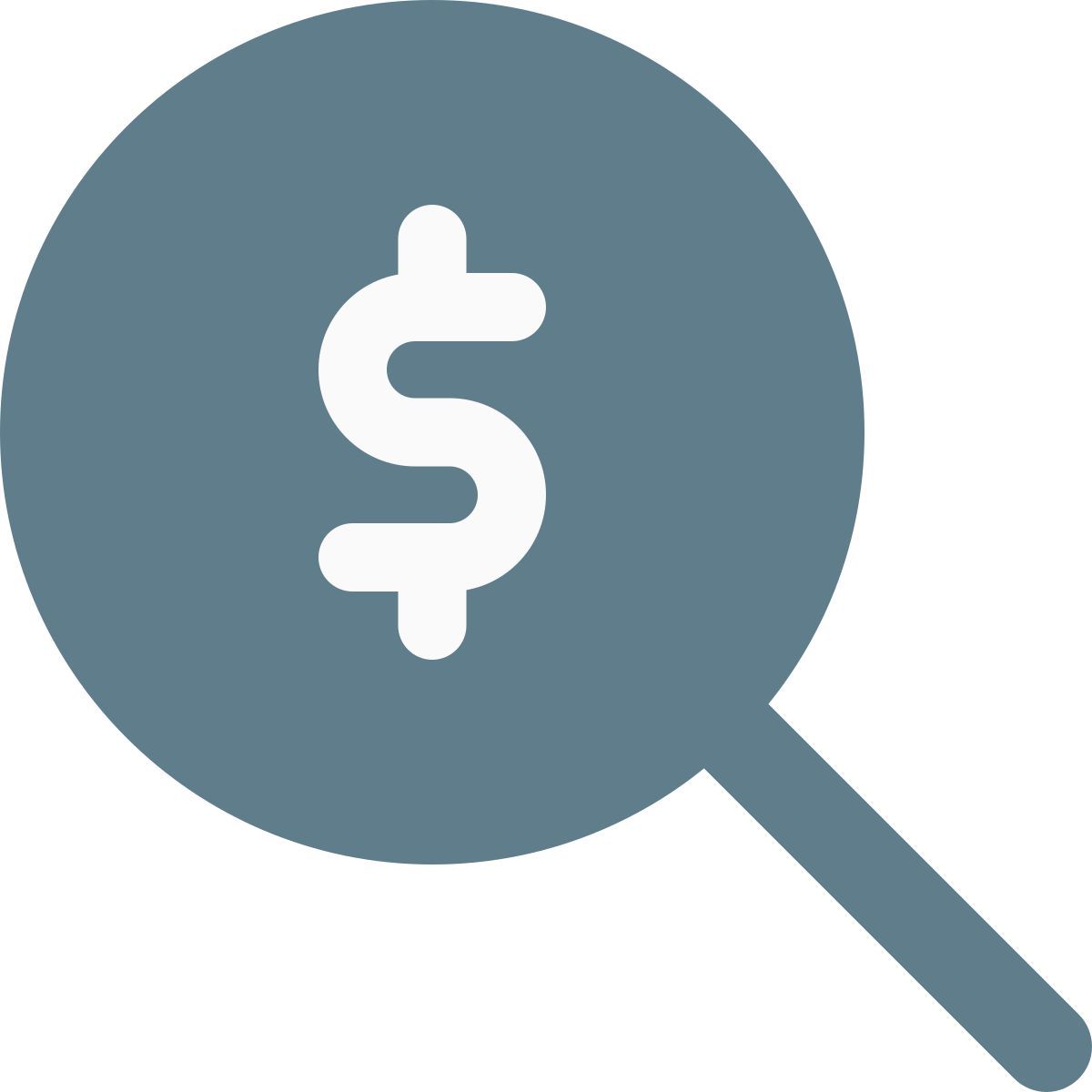 search money icon