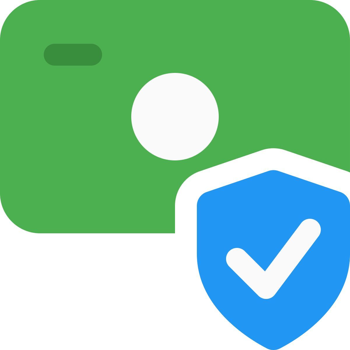 financial protection icon