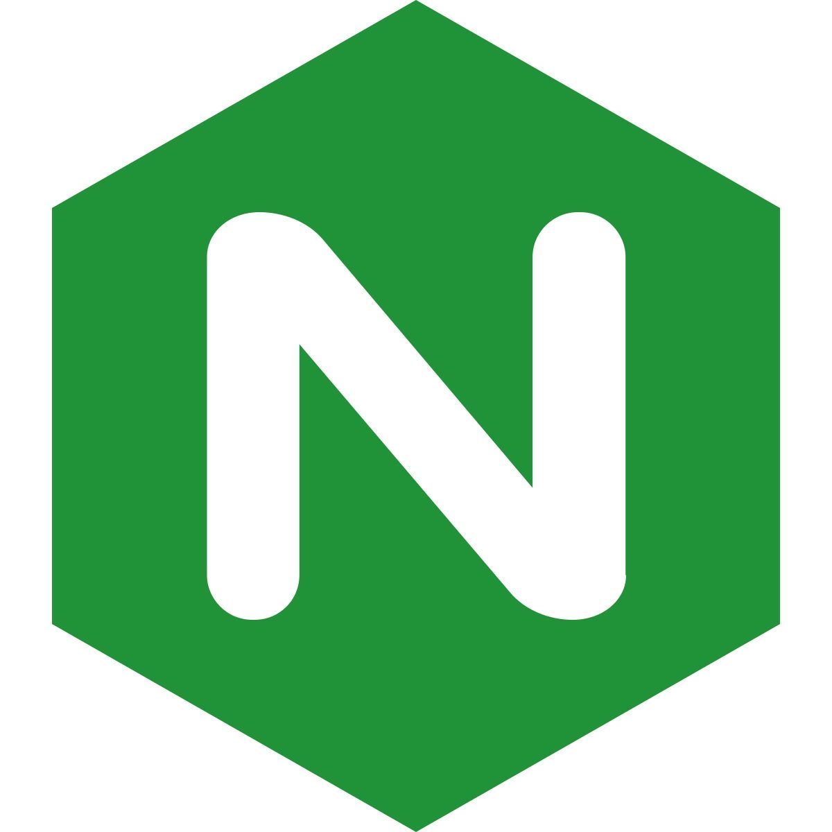 nginx icon