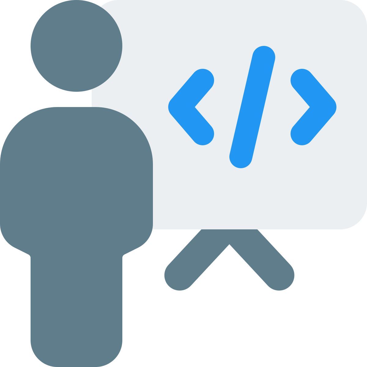 programming strategy icon