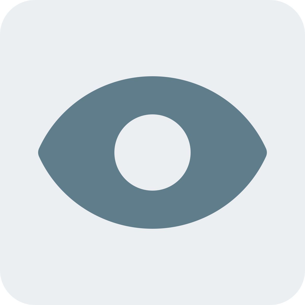 preview button icon