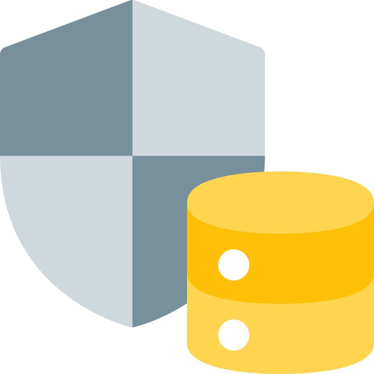 database defense icon