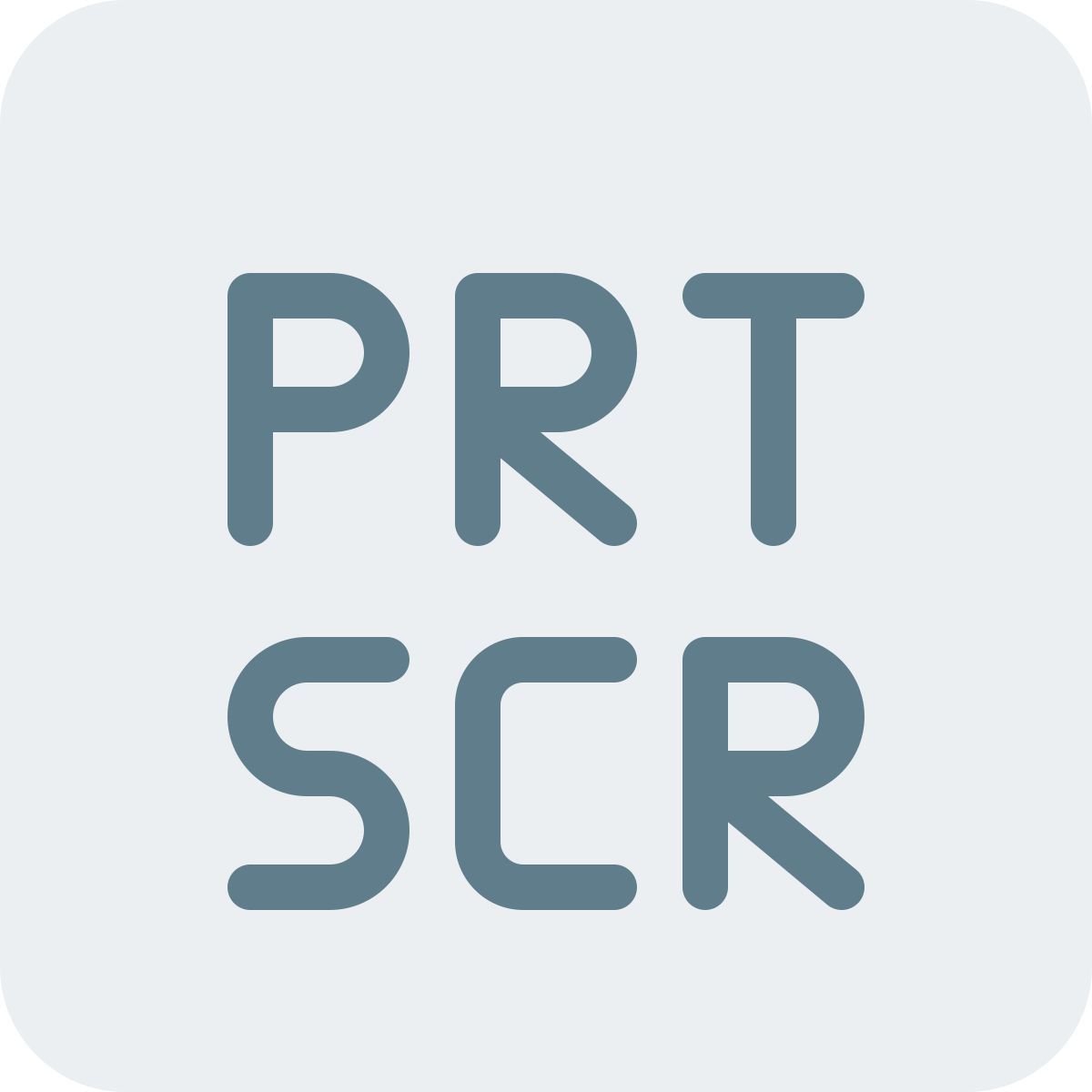 Prt Scr icon