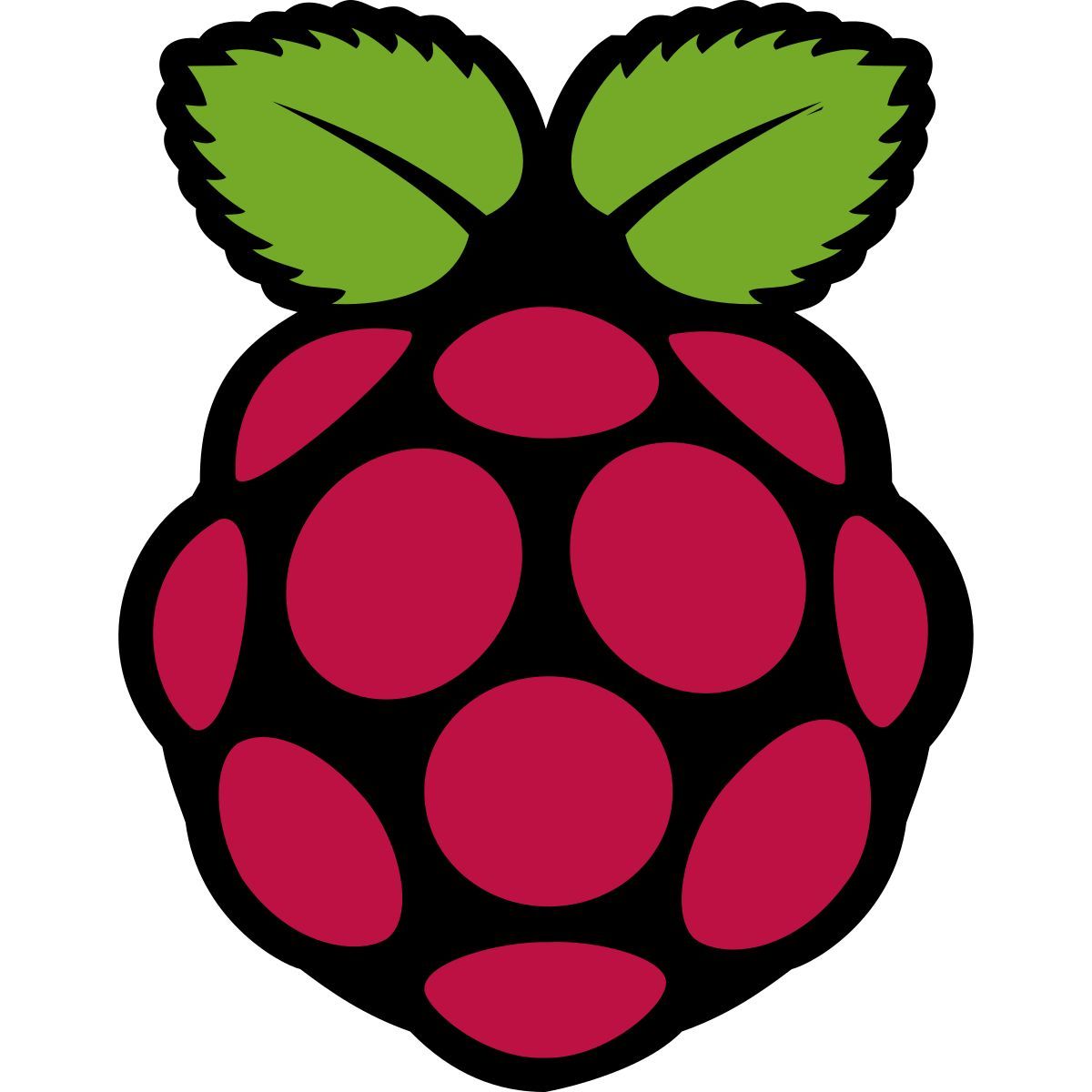raspberry pi icon