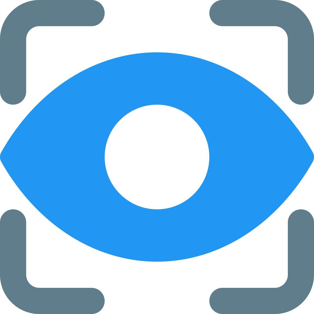 netzhautscan auf dem telefon, um passcodes zu vermeiden icon