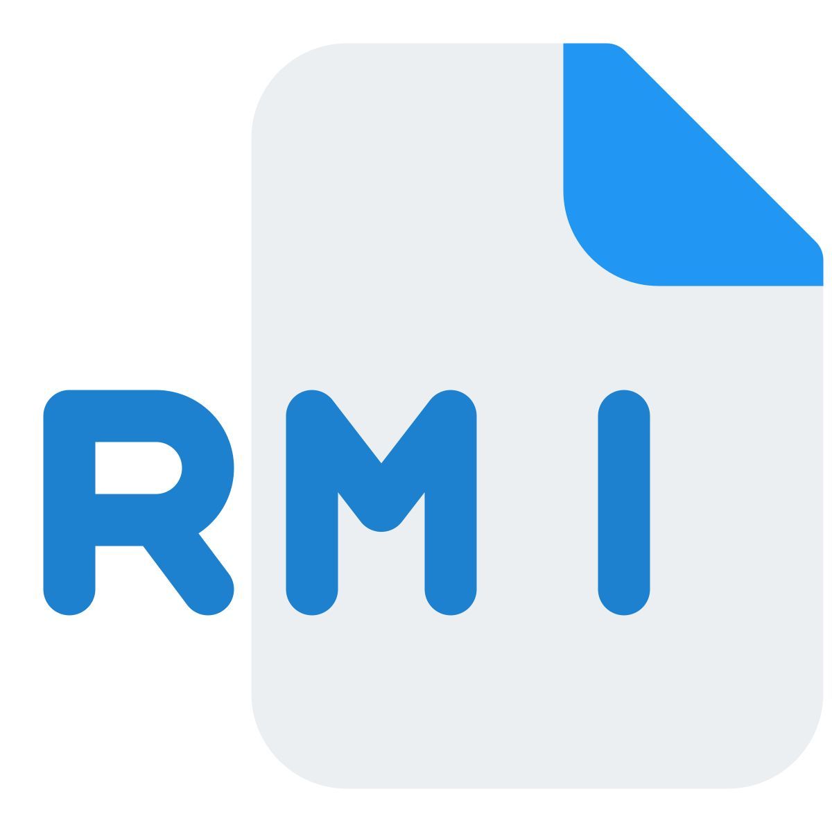 rmi file icon