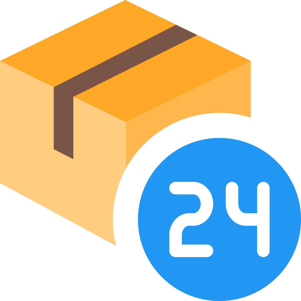 expédition 24h icon