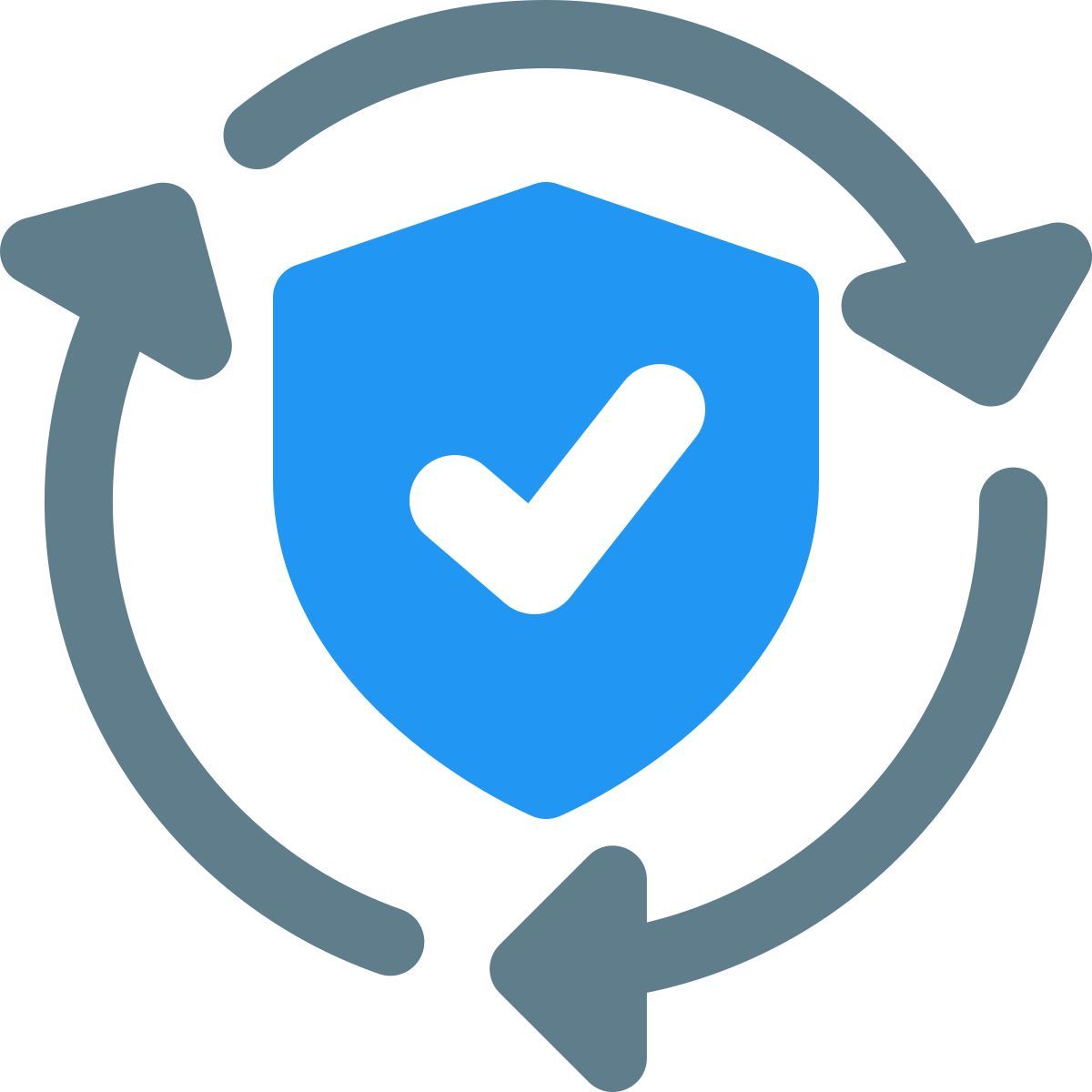 sincronização segura icon