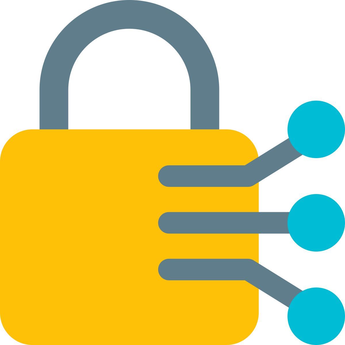lock network icon