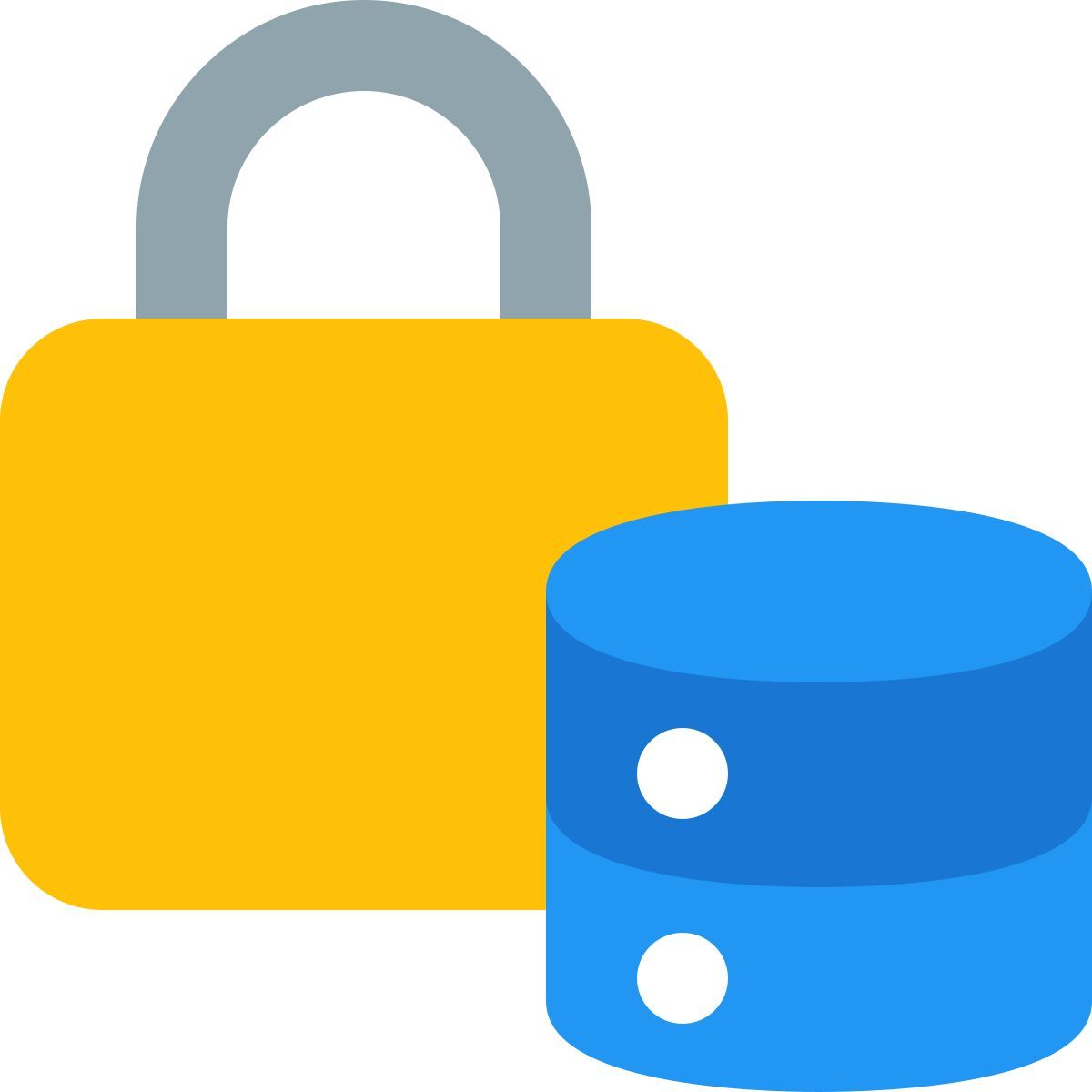 serveur externe protégé avec un verrouillage d'authentification par administrateur sécurité color tal revivo icon