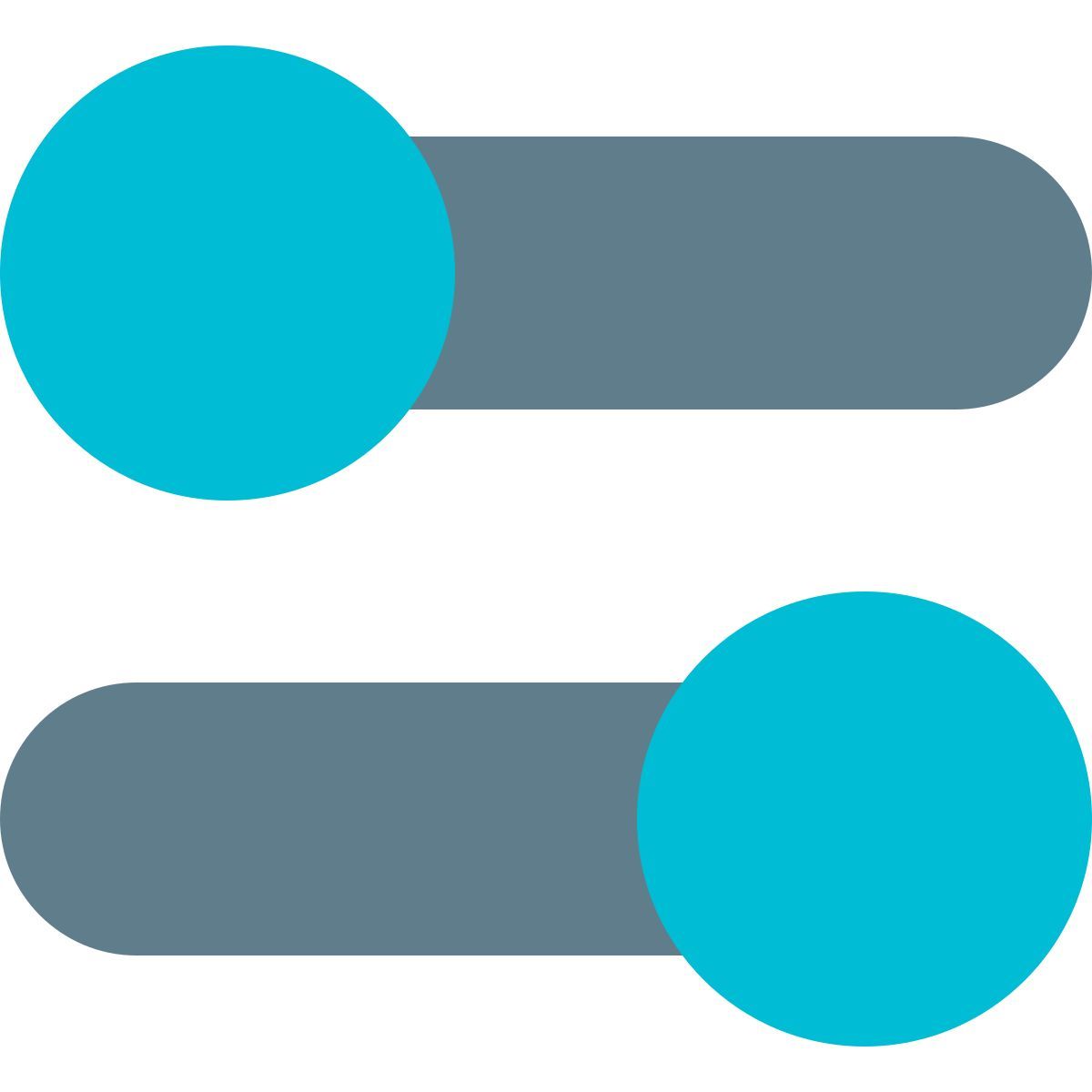 setting toggles icon