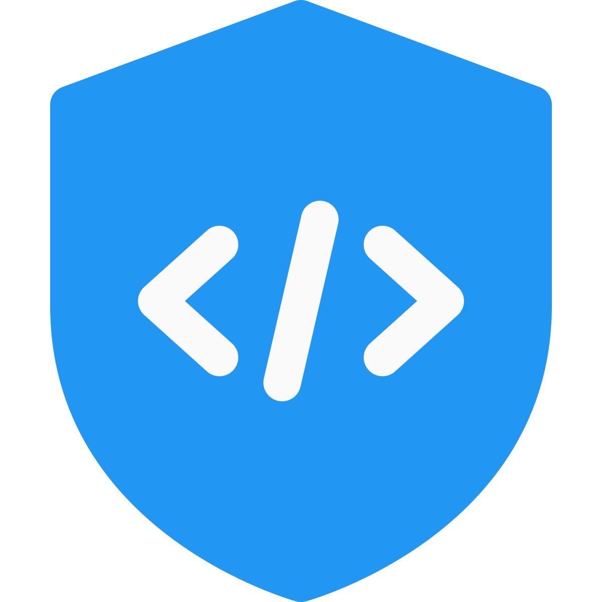 programação segura icon