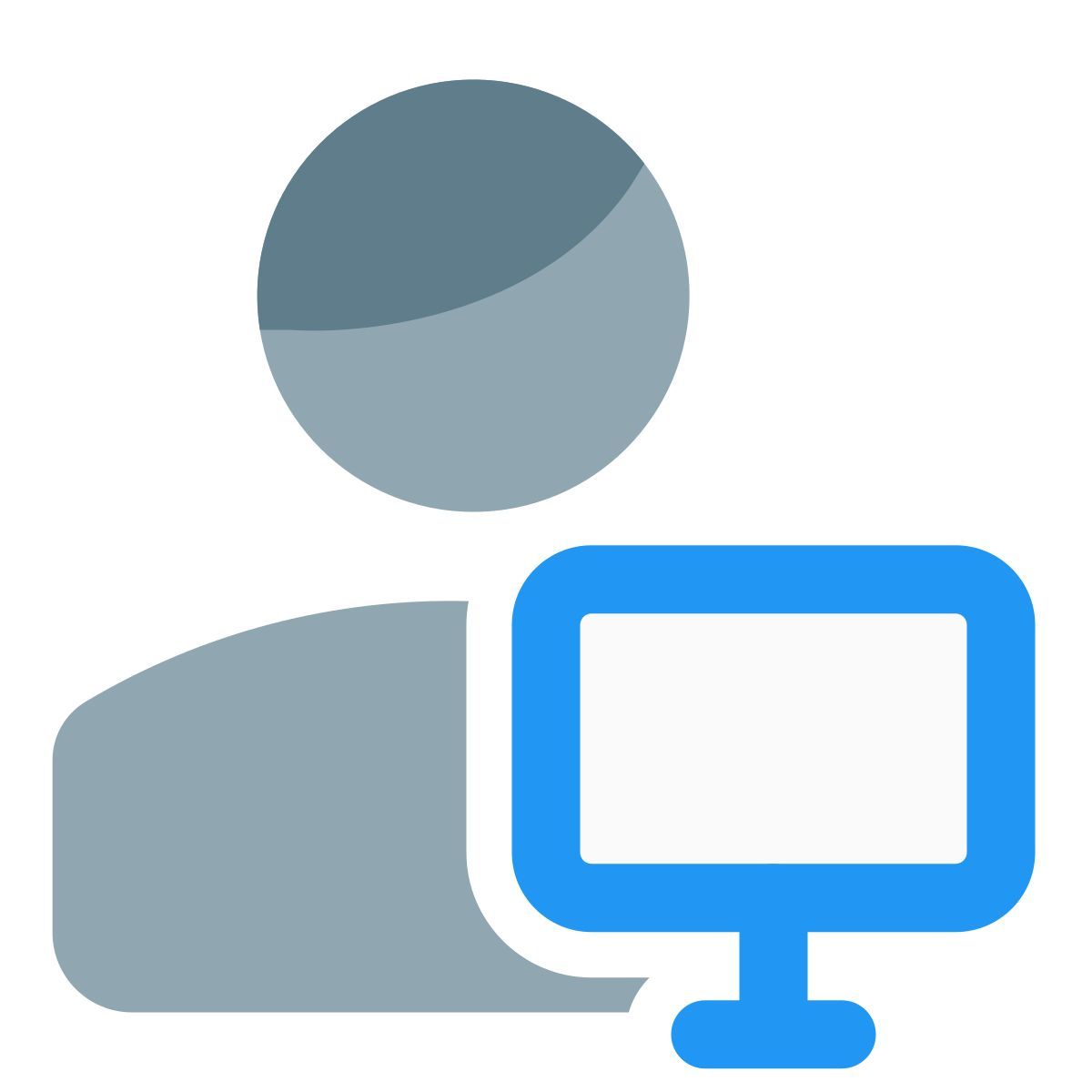 usuario de computadora icon