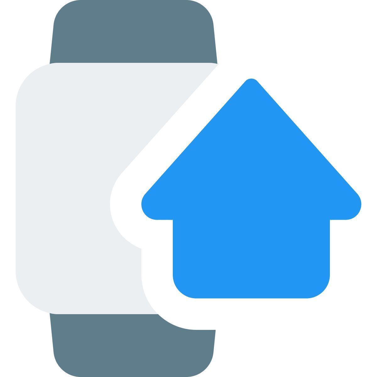 smartwatch home app icon