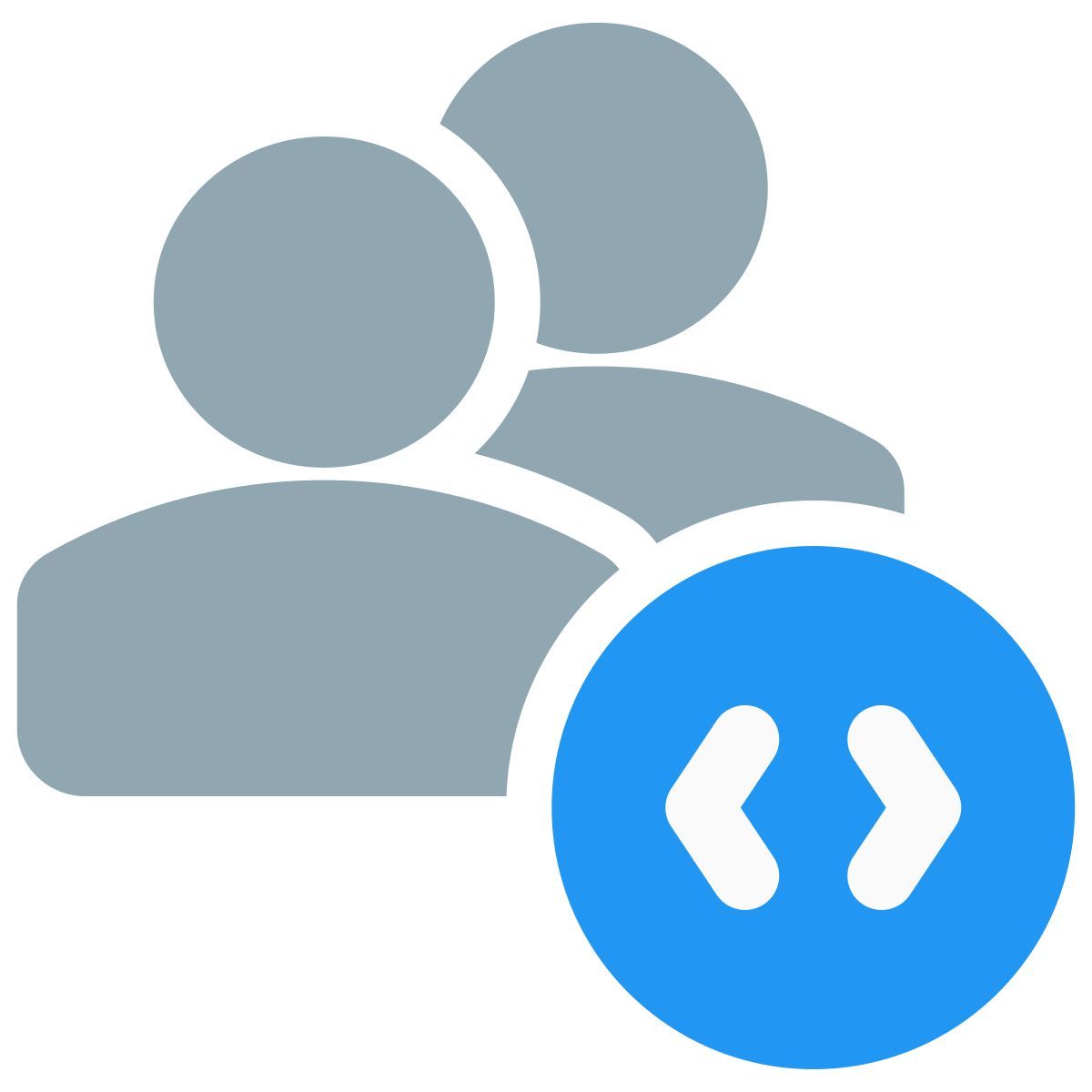 programmeurs icon