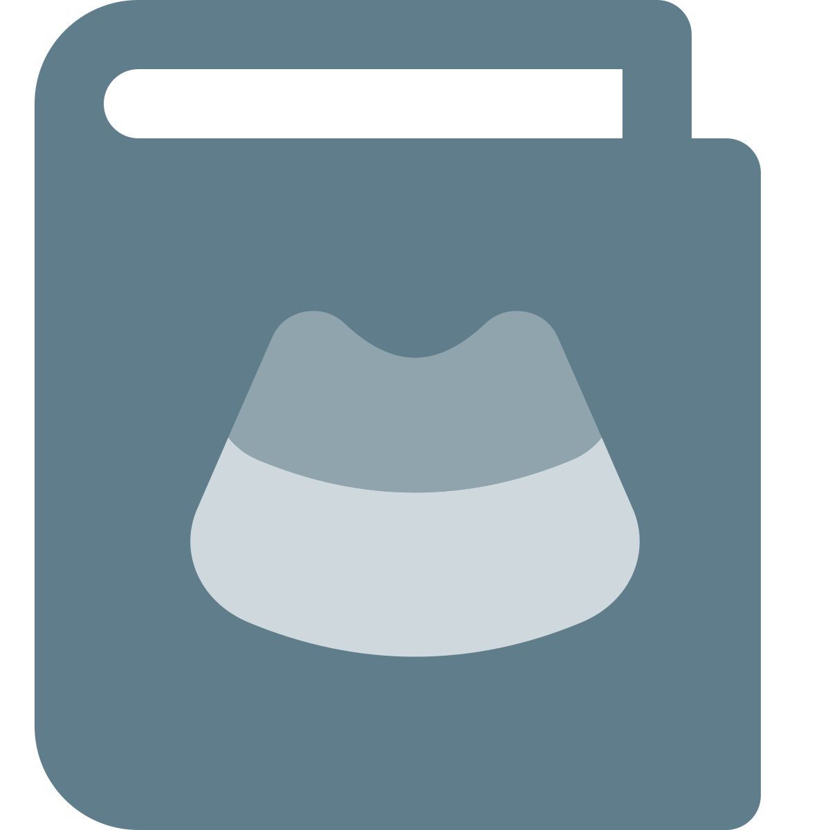 ultrasound book icon