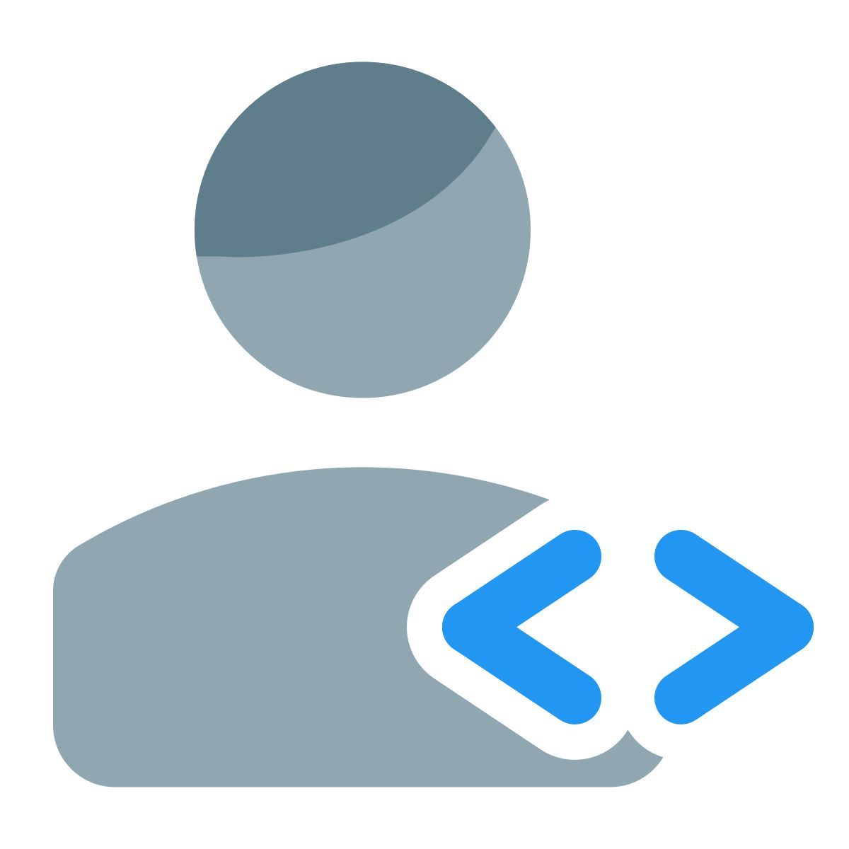 codeur icon
