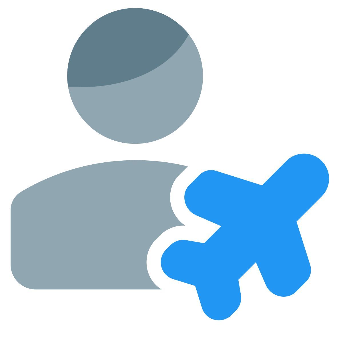 flight passenger icon