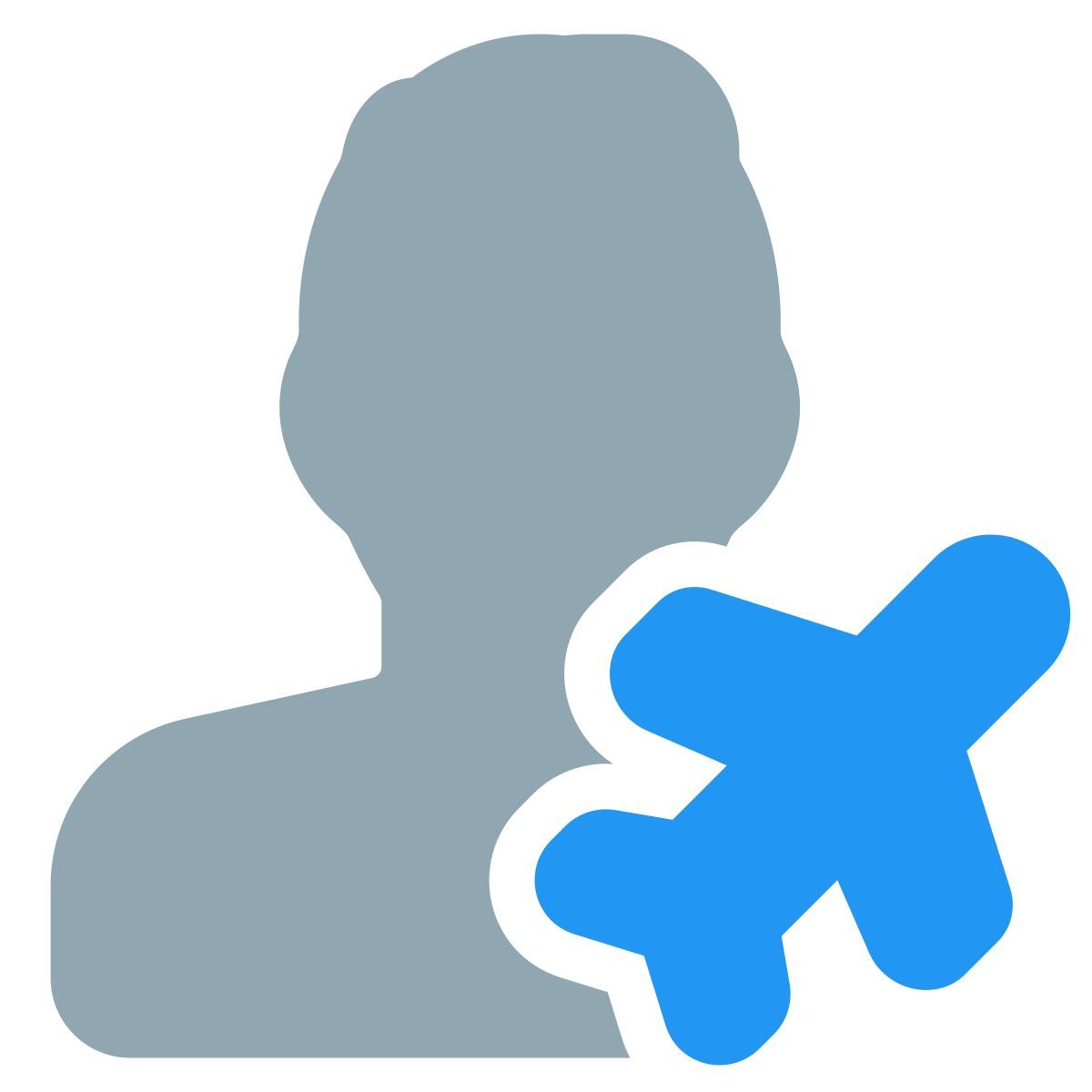 flight passenger icon