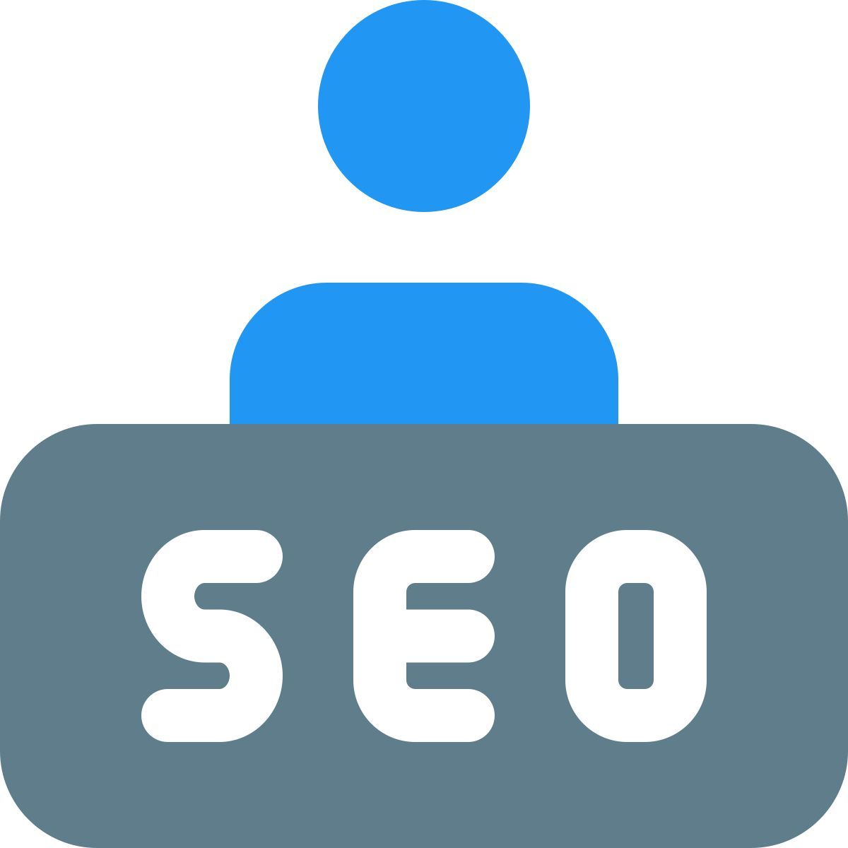 seo expert icon